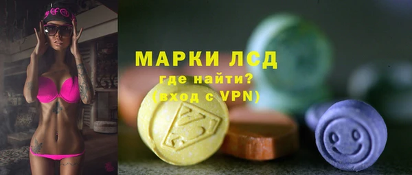 стаф Арсеньев