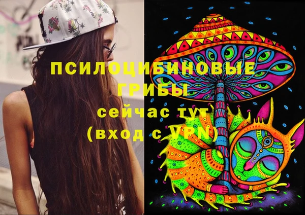 скорость Алзамай