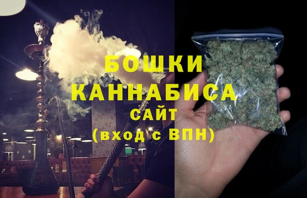 стаф Арсеньев