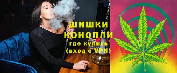 стаф Арсеньев
